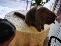 -B.O.M波姆烘焙(凤凰街店)