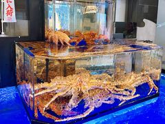 -蟹道乐(道顿堀本店)