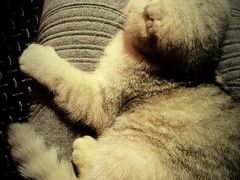 android_upload_pic-MIKAKU(万达广场上海宝山店)