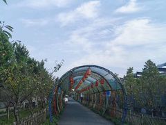 -嬉乐湾休闲旅游区