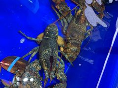 -船梆煮•蒸汽海鲜·生腌干蒸(五四广场店)