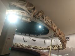 -自贡恐龙博物馆