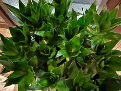 -莫干山郡安里度假酒店-桃尖中餐厅