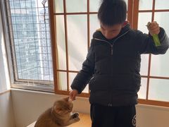 -Let's go狗咖·猫咖·奶狗·桌游(春熙路IFS店)