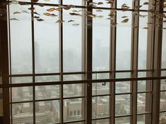 大堂-视界美食自助餐厅·石家庄希尔顿酒店