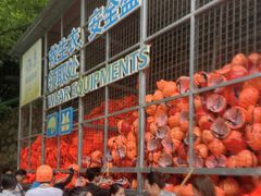 -雅鲁激流探险漂流