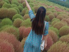 -映月湖中央公园