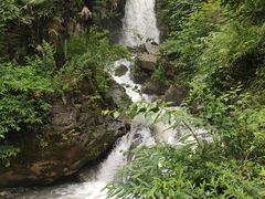 -鹿院坪生态旅游景区