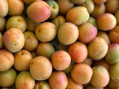 -东方鼎信农副产品交易中心