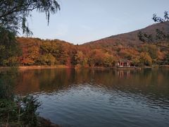 -紫霞湖公园