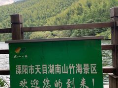 -镇江市南山风景名胜区竹林景区