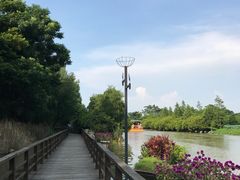-大湾区中央湿地公园