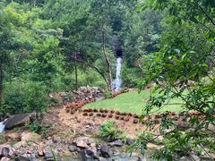 -广州白江湖森林公园