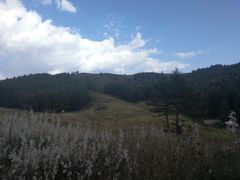-驼梁风景区