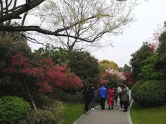 -桃花岛景观公园