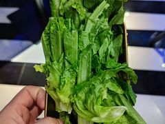 -Darling Queen·Mini·Live·House