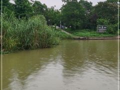 -长兴太湖图影湿地文化园