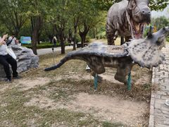 -西部长青自然儿童乐园