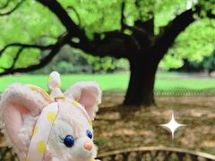 -上海共青森林公园