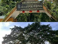 -中国科学院西双版纳热带植物园