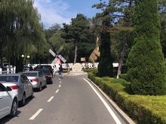 -大连铭湖国际观光牧场