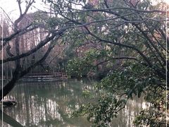 -上海滨江森林公园