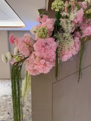 -北京漾格医疗美容医院