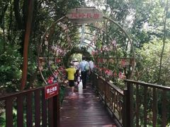 -石燕湖生态旅游景区