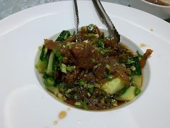 老醋蛰头-西贝海鲜汇(槐安路店)