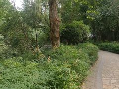 -沙河三洞古桥公园