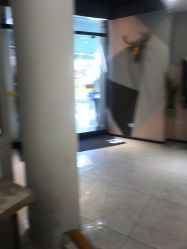 -可可丽舍