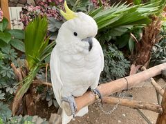 -南宫五洲植物乐园