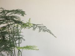 -静一餐厅·湖北菜(前门店)