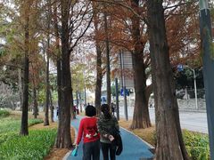 -四海公园(南山区)