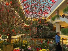 -广州白天鹅宾馆