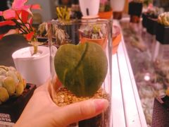 -KKV(深圳宏发大仟里店)