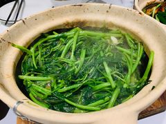 啫啫马拉盏空心菜-粤·啫啫