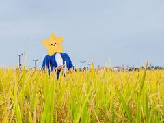 -中国天府农业博览园