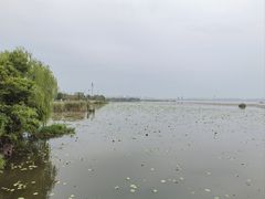 -阳澄湖半岛旅游度假区