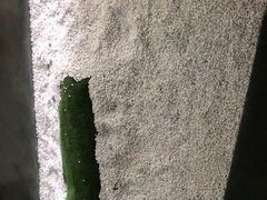 -朴境采耳·足道按摩(科学大道旗舰店)