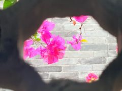 -老屋咖啡