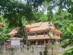 -西双版纳原始森林公园