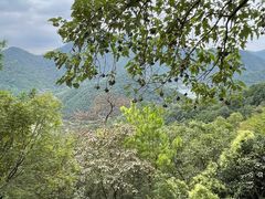 -富春桃源风景区