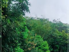 -广州市石门国家森林公园