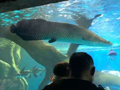 -多彩贵州城极地海洋世界