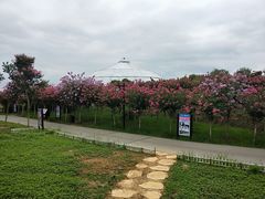 -武汉紫薇都市田园