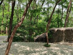 -封龙山风景区