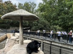 -石家庄市动物园