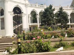 -朝阳公园游乐园