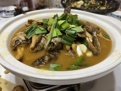 -云中菜馆(恒晟·云中绿园店)